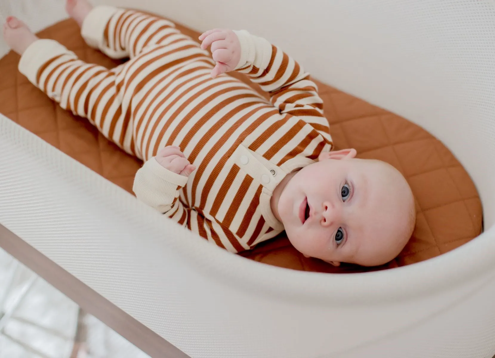 Bambella Waterproof Moses Bassinet Sheet | Chestnut