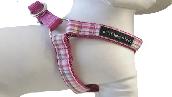 cfo Camden Drive Harness