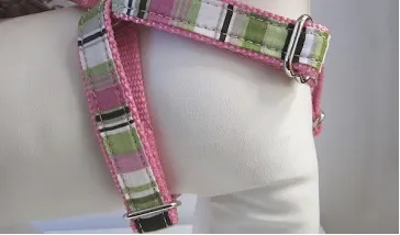 cfo Pacific Palisades Pink Harness
