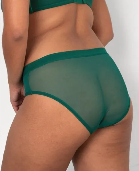 Curvy Couture -   Sheer Mesh High Cut Brief