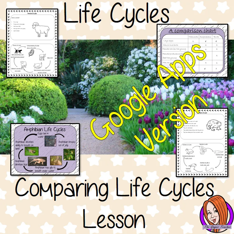 Distance Learning Comparing Life Cycles - Complete Science Lesson