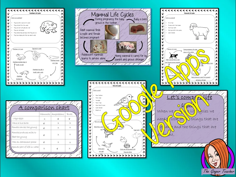 Distance Learning Comparing Life Cycles - Complete Science Lesson