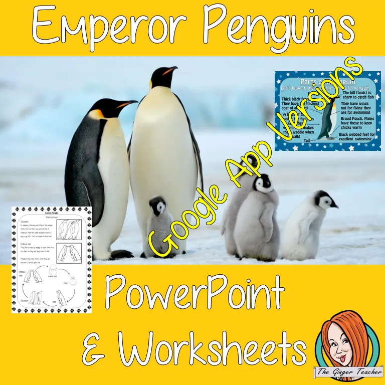 Distance Learning Emperor Penguins Google Slides Lesson