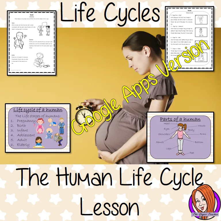 Distance Learning Human Life Cycles Google Slides Lesson