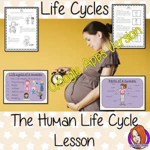 Distance Learning Human Life Cycles Google Slides Lesson