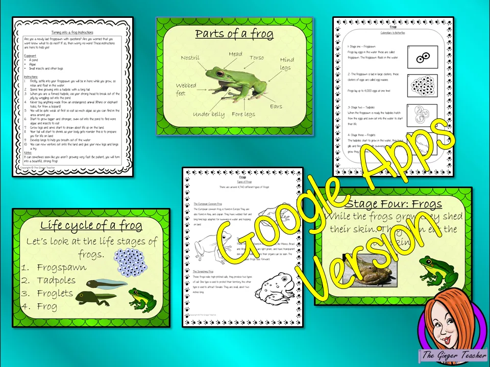 Distance Learning Life Cycles of a Frog Google Slides Lesson