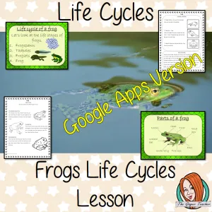 Distance Learning Life Cycles of a Frog Google Slides Lesson