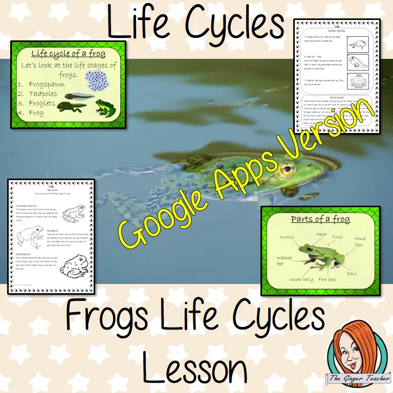 Distance Learning Life Cycles of a Frog Google Slides Lesson