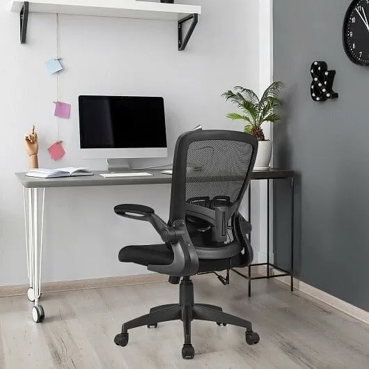 Ergonomic Desk Chair with Lumbar Support and Flip up Armrest-Black - Color: Blac