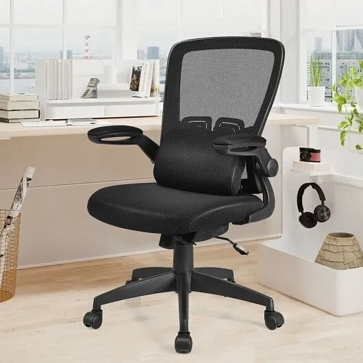 Ergonomic Desk Chair with Lumbar Support and Flip up Armrest-Black - Color: Blac