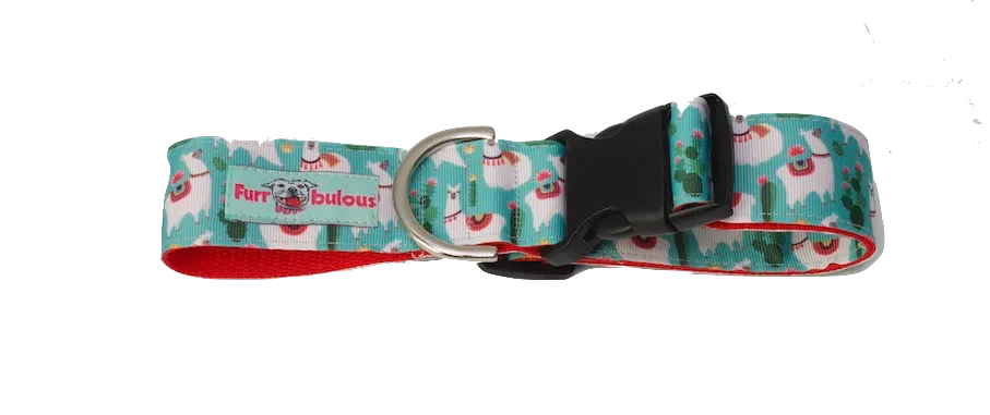 Llamas Teal Sport Collar 1.5"