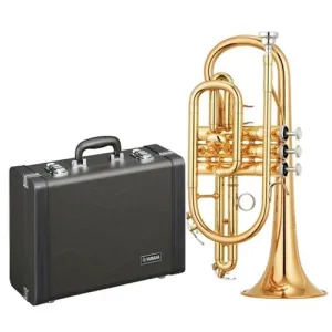 Yamaha YCR-4330GII Bb Intermediate Cornet in Lacquer