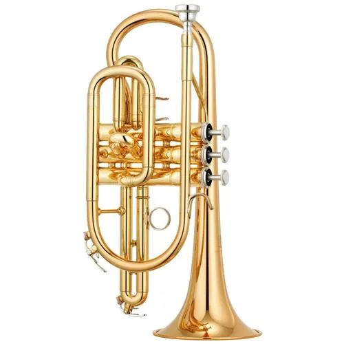 Yamaha YCR-4330GII Bb Intermediate Cornet in Lacquer
